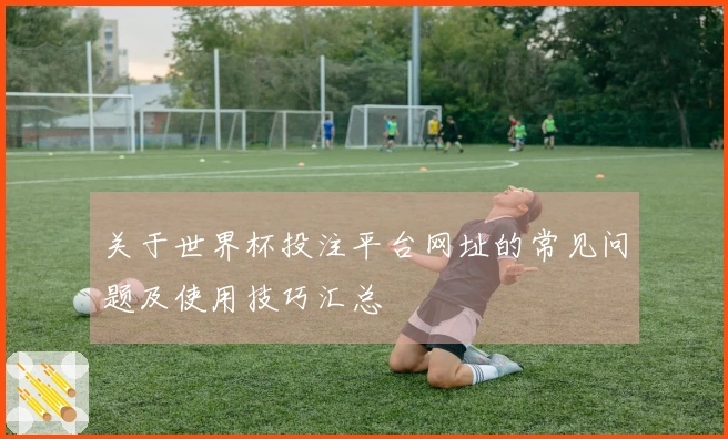 关于世界杯投注平台网址的常见问题及使用技巧汇总