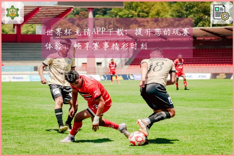 世界杯竞猜APP下载：提升您的观赛体验，畅享赛事精彩时刻