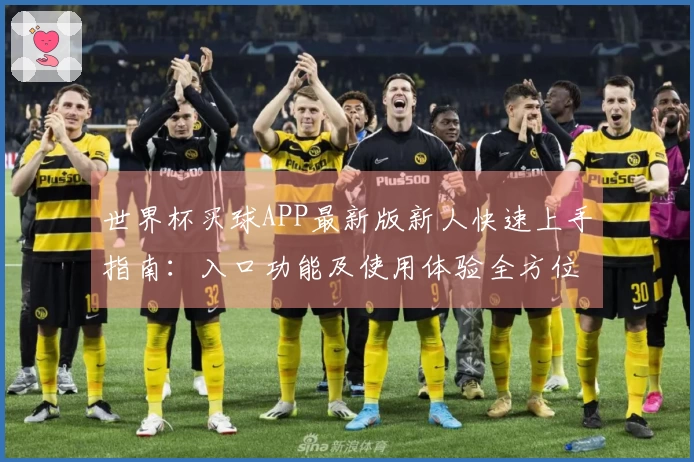 世界杯买球APP最新版新人快速上手指南：入口功能及使用体验全方位介绍