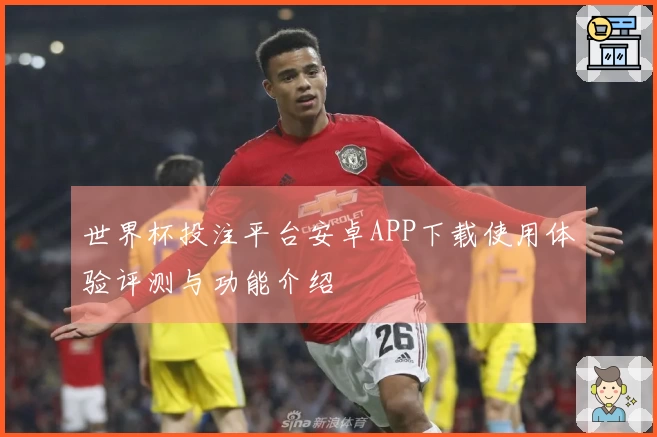 世界杯投注平台安卓APP下载使用体验评测与功能介绍
