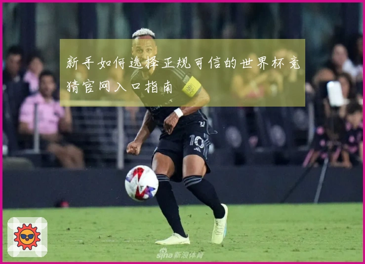 新手如何选择正规可信的世界杯竞猜官网入口指南