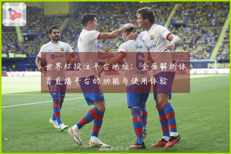 世界杯投注平台地址:全面解析体育直播平台的功能与使用体验