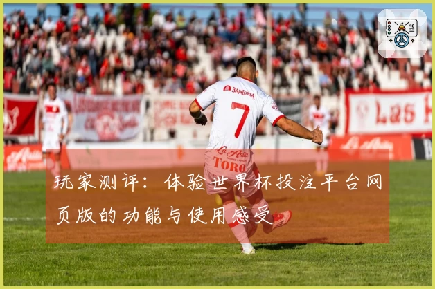 玩家测评：体验世界杯投注平台网页版的功能与使用感受