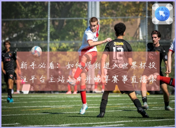 新手必看:如何顺利进入世界杯投注平台主站入口并畅享赛事直播体验