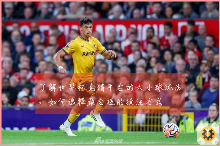了解世界杯竞猜平台的大小球玩法，如何选择最合适的投注方式