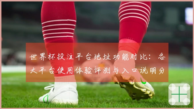 世界杯投注平台地址功能对比：各大平台使用体验评测与入口说明分析