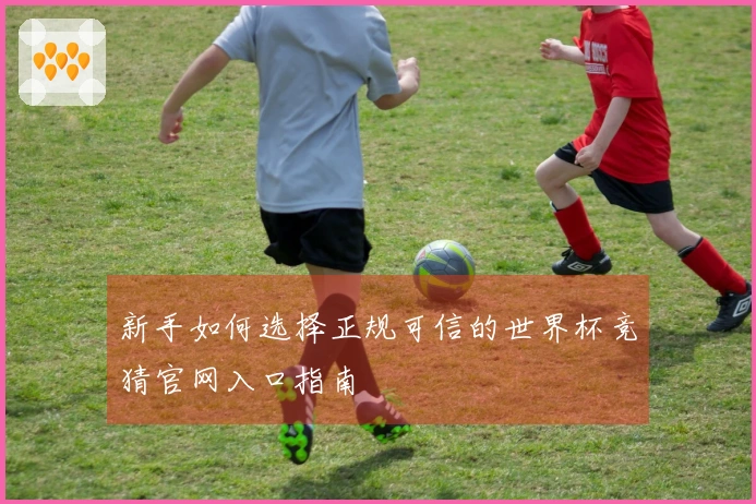 新手如何选择正规可信的世界杯竞猜官网入口指南