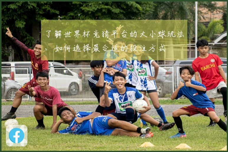 了解世界杯竞猜平台的大小球玩法，如何选择最合适的投注方式