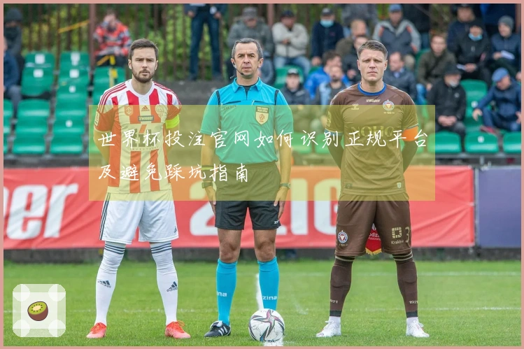 世界杯投注官网如何识别正规平台及避免踩坑指南