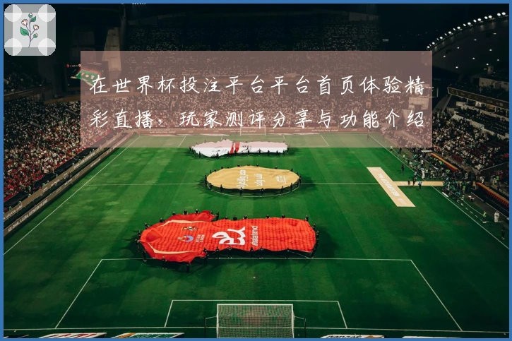 在世界杯投注平台平台首页体验精彩直播，玩家测评分享与功能介绍
