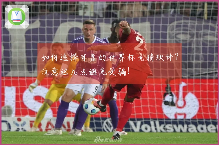 如何选择可靠的世界杯竞猜软件？注意这几点避免受骗！