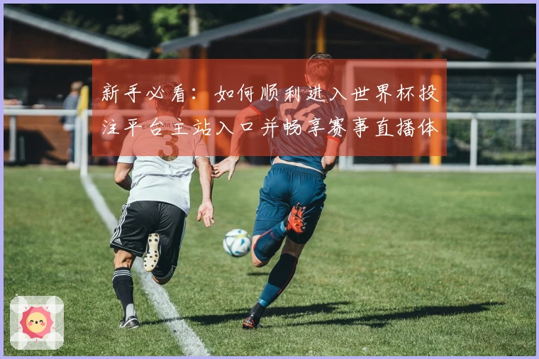 新手必看：如何顺利进入世界杯投注平台主站入口并畅享赛事直播体验